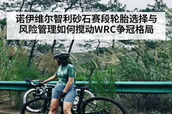 诺伊维尔智利砂石赛段轮胎选择与风险管理如何搅动WRC争冠格局 | crownsports
